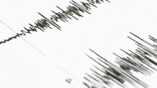 Земетресение удари Камчатка