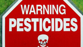 От 1 декември забраняват пестицидите заради пчелите