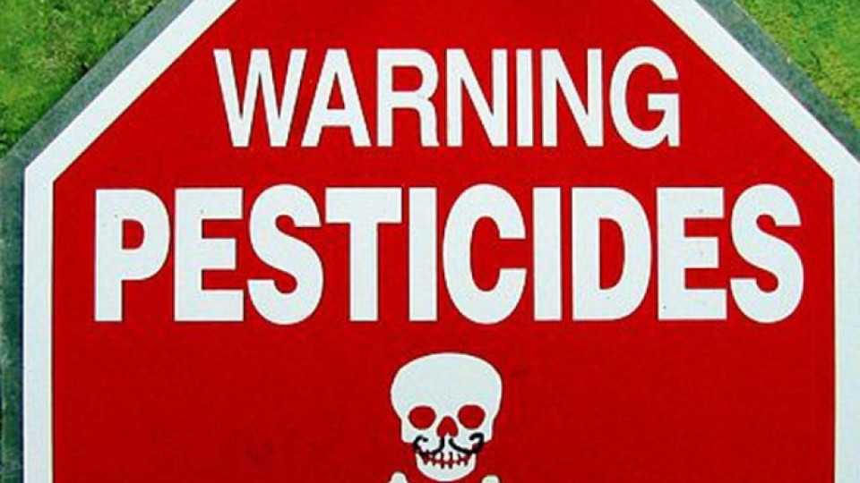 От 1 декември забраняват пестицидите заради пчелите | StandartNews.com