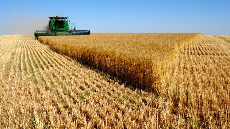 Чакат 700 млн. тона  пшеница | StandartNews.com