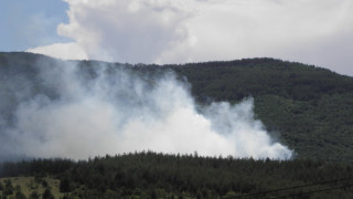 Пламна гора в Кюстендилско