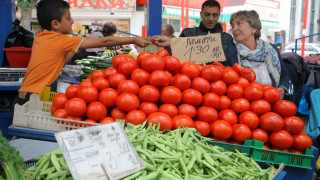 Правят шопската салата с гръцки и турски зарзават