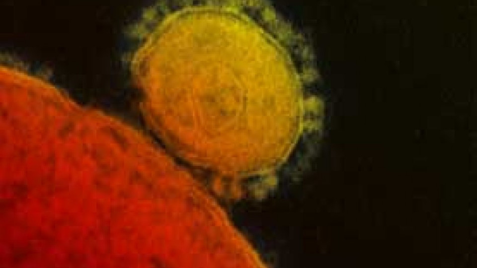 Смъртоносен вирус в Саудитска Арабия заплашва с пандемия | StandartNews.com