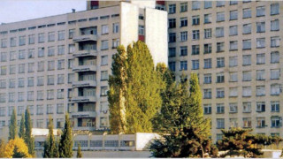 Кобила нарани сериозно 3-годишно дете