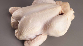 Агенцията по храните откри заразено пилешко