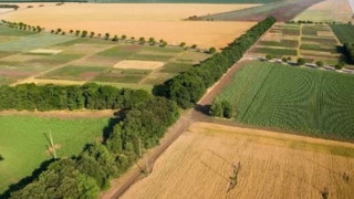 Разпродават ниви заради дългове