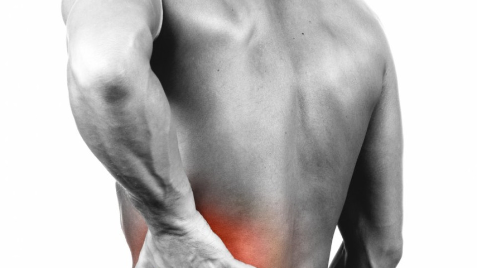 Раздвижване на всеки час ни пази от болки в гърба | StandartNews.com