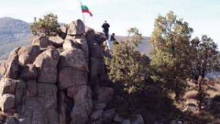 Вълча глутница изяде 7 овце, в Мечкул не смеят да излязат на къра