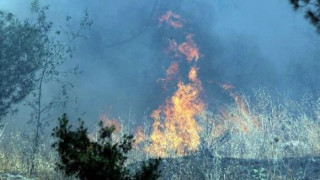 Пожар избухна в централен Йерусалим