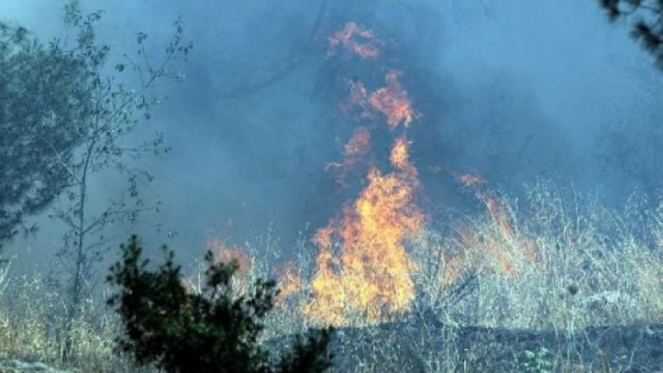 Пожар избухна в централен Йерусалим | StandartNews.com