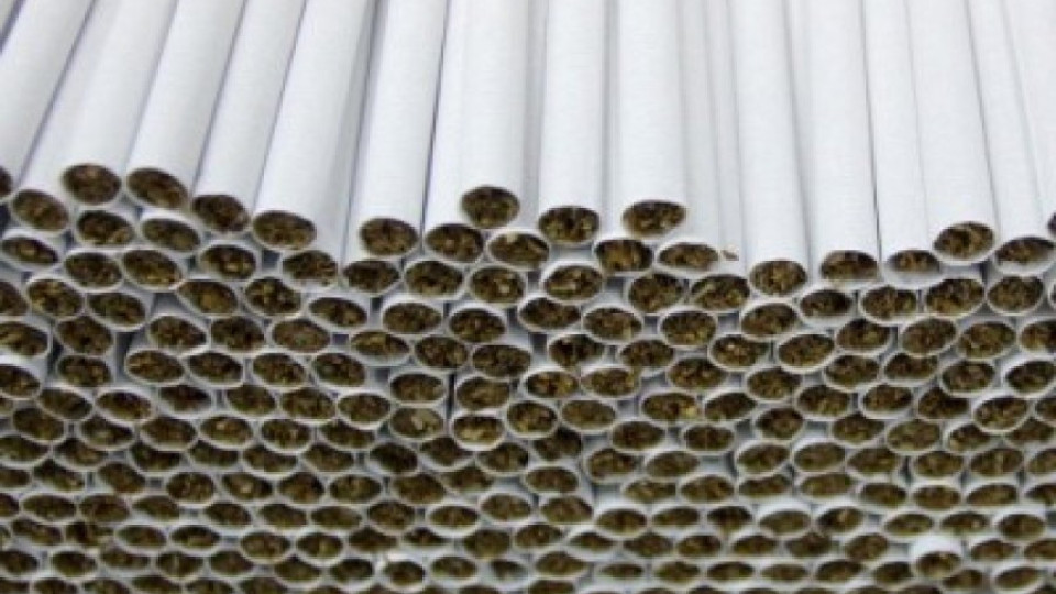 Спипаха 800 кутии нелегални цигари при митническа акция  | StandartNews.com