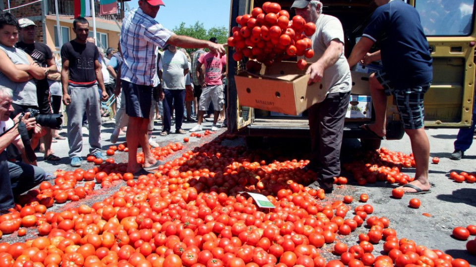Земеделци даряват зеленчуци на социално слаби | StandartNews.com