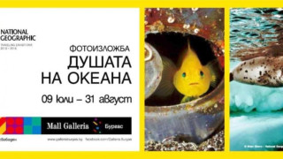 Фотоизложба „Душата на океана" откриват в Бургас