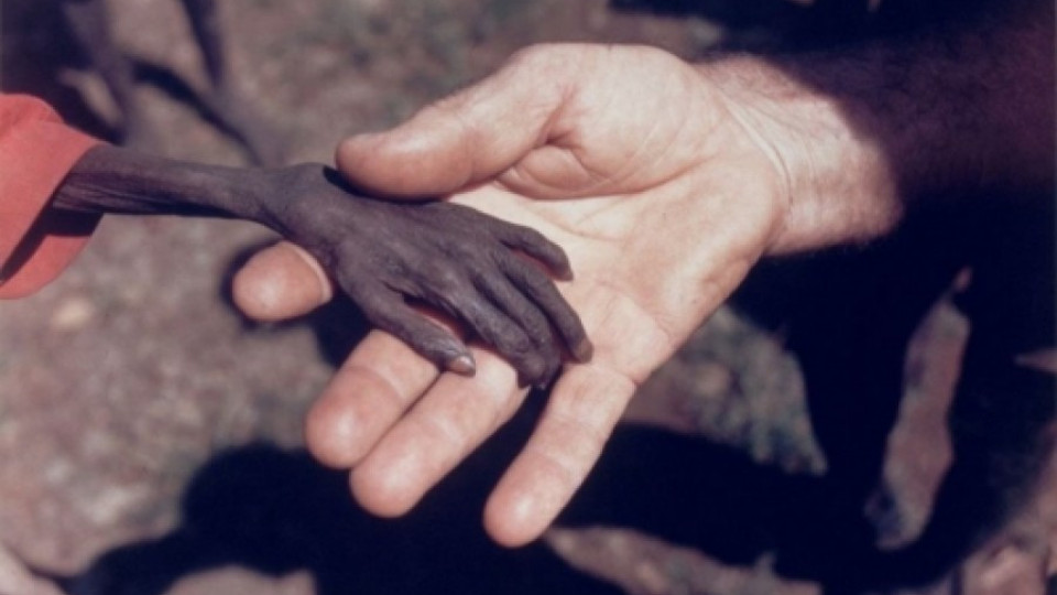 След 40 години идва световен глад  | StandartNews.com