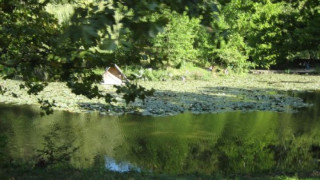 Мъж се удави в езеро по време на пикник в Русе