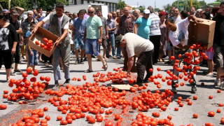 Фермери даряват домати, вместо да ги газят