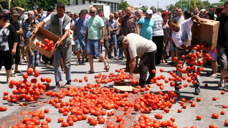 Фермери даряват домати, вместо да ги газят | StandartNews.com