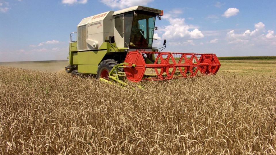 Земеделци прибират рекордни добиви от хлебно зърно | StandartNews.com