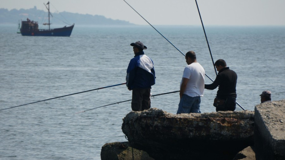 Преведоха 1 376 129 лева субсидии по програма „Рибарство” | StandartNews.com