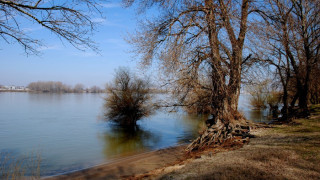 Труп на жена изплува от Дунав