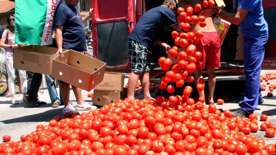 Крадци задигнаха домати и паметна плоча | StandartNews.com