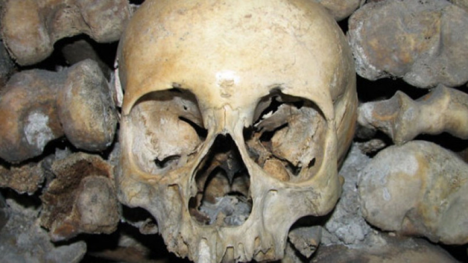 Глобяват австриец за притежание на 56 човешки черепа | StandartNews.com