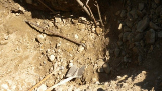 Тракийска гробница е открита в могила край Брестовица