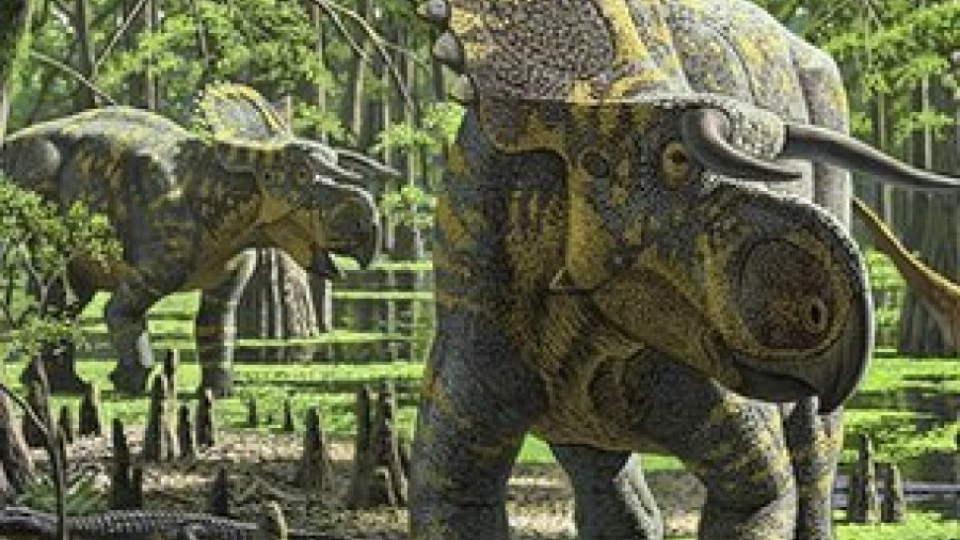 Откриха нов вид динозавър | StandartNews.com