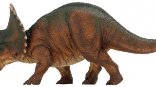 Бяха открити останки от неизвестен вид динозавър