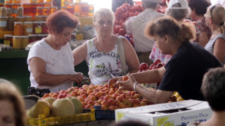 Българският домат в режим на оцеляване