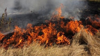70 бали слама и гълъбарник изгоряха в Кърджалийско 