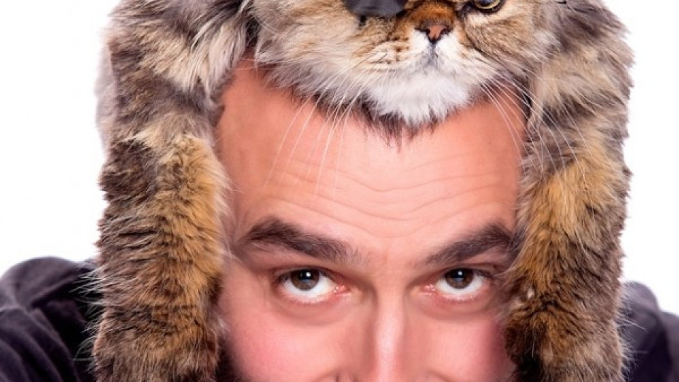 Котката на Калин Вельов стана модел | StandartNews.com