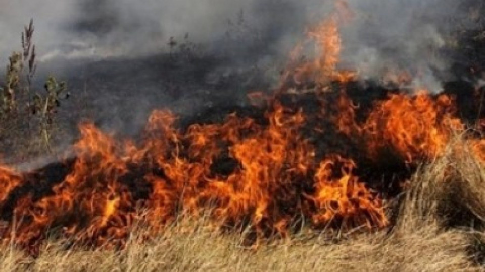 80 бали слама изгоряха в Припек   | StandartNews.com