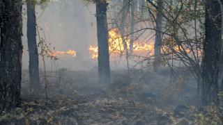 Пореден горски пожар в бургаския „Меден рудник"