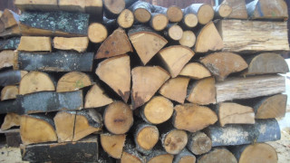 Над 202 000 кубика дърва за огрев осигурява ЮЗДП
