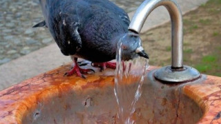 В Гоце Делчев раздават вода в жегите