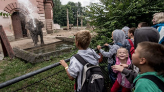 Зоопарковете в България готвят своя асоциация