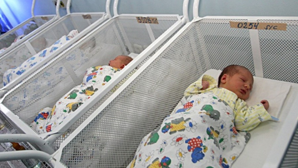 За 2 г. 8000 бебета проплакаха в новата зала на „Майчин дом" | StandartNews.com