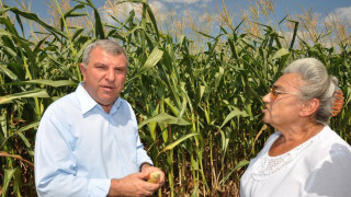 Греков: Зърното за хляб е осигурено