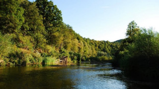 Протест срещу шефа на горското в Царево