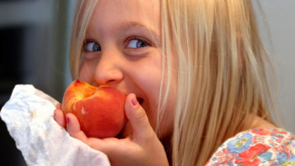 Проектът "Училищен плод" се разраства  | StandartNews.com