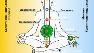 Чакрата на таланта пази и бъбреците