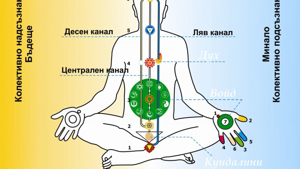 Чакрата на таланта пази и бъбреците | StandartNews.com