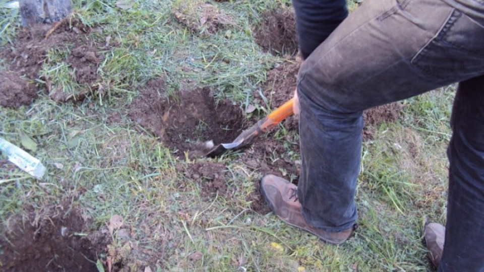 Земеделец намери скелет, докато си копае канал | StandartNews.com