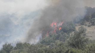 Пожар изпепели 100 дка гори край Мездра