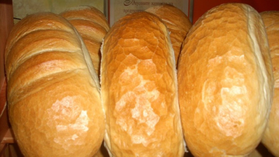 Нелегален хляб залива морето | StandartNews.com
