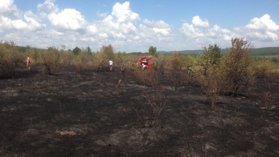 Пожар в бадемовата гора на Иракли | StandartNews.com