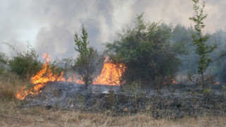 Нов голям горски пожар пламна край Хасково