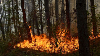 20 хил. декара са в пламъци край Свиленград