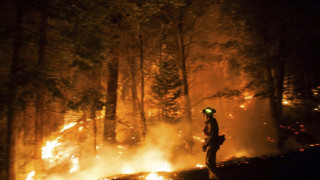 Горски пожари опустошават САЩ и Португалия